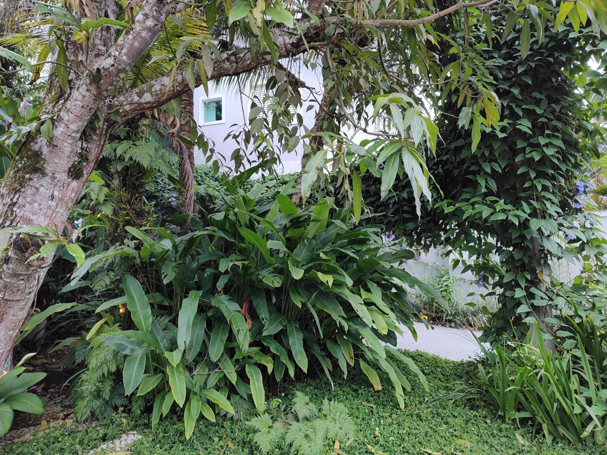 Casa Ideal No Guaruja Bagian luar foto